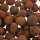 Canna Hydro Correls 45L