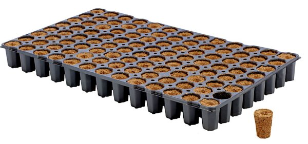 Eazy Plug Stecklingstrays 104 C rund groß