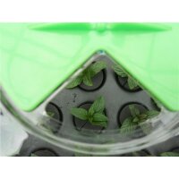Nutriculture X Stream 120 Hydro Gewächshaus