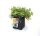 Gronest Stofftopf 4L 15 x 15 x 18 cm