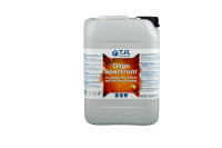 T. A. OligoSpectrum 10L